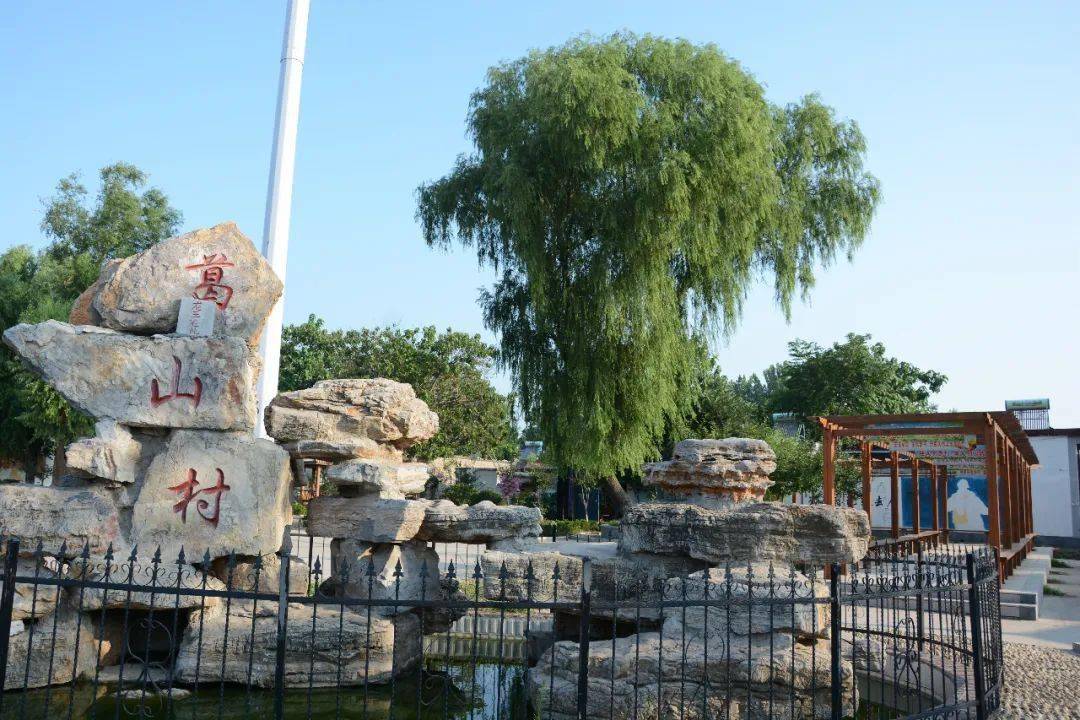 金乡这个村上榜第二批"国家森林乡村"名单!