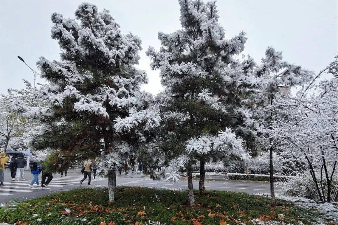 "初雪的到来如同一名绅士敲开了季节的门扉有一种温柔叫做初雪短暂地