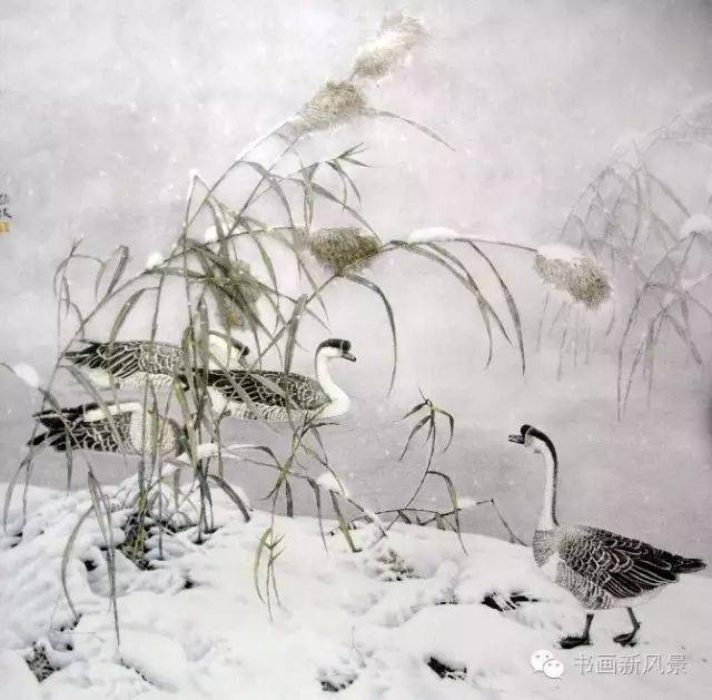 这组工笔雪景花鸟,漂亮!