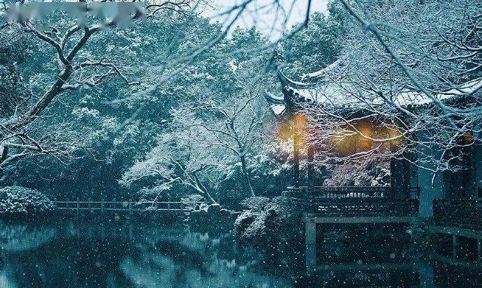 冬来无恙,愿你我安好