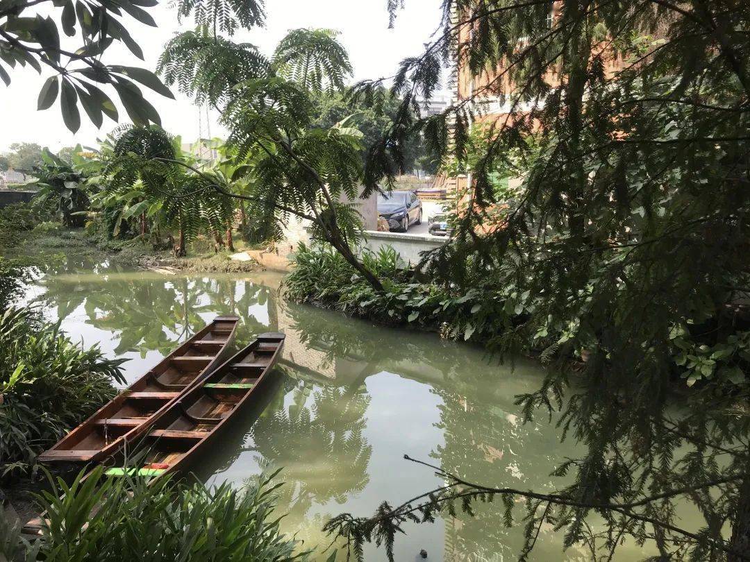村居蝶变顺德勒流江村村改推进进行时重现岭南水乡的美景