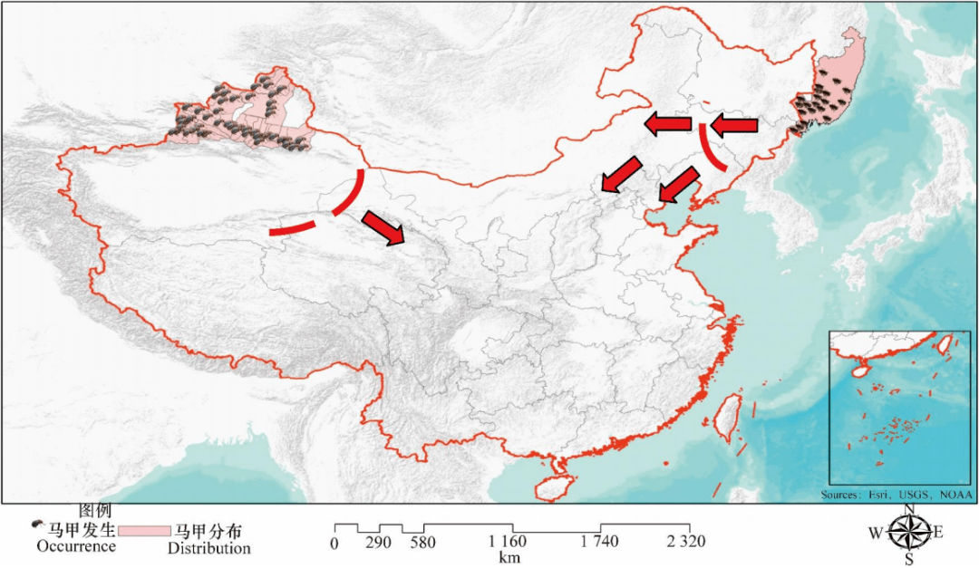 雕虫丨震惊!小小昆虫竟引起如此轩然大波