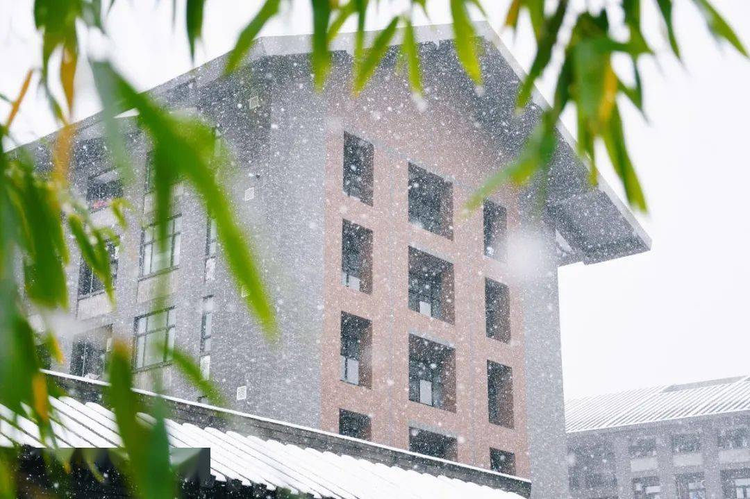 初雪停了美却留在了仙建大