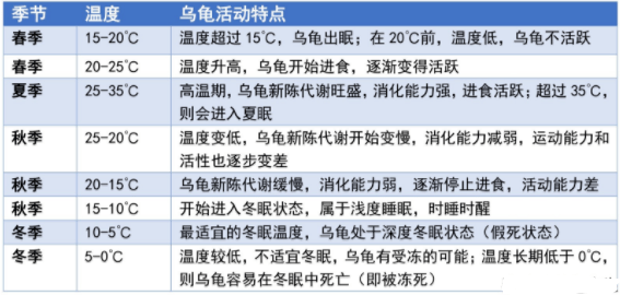 乌龟什么时间开始冬眠?温度15度以下冬眠,各地龟冬眠时间一览