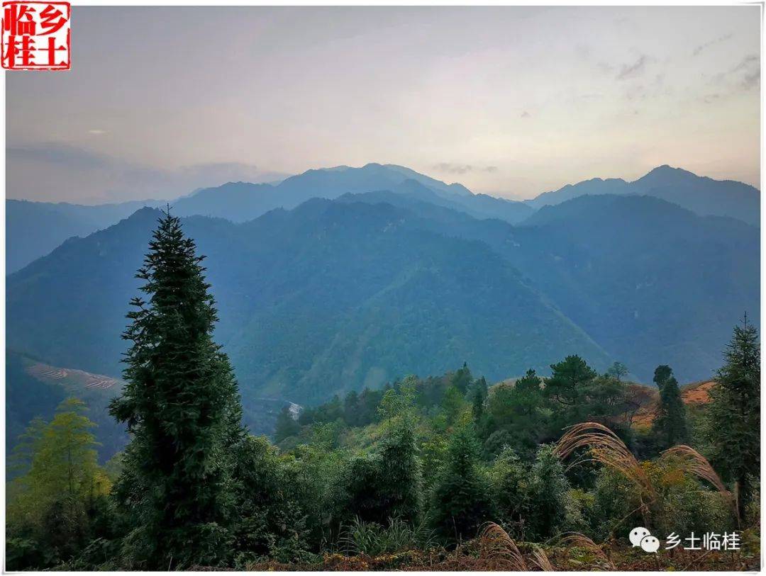 宛田瑶族乡海龟村