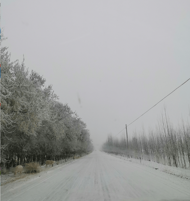 终于等到你了和田的初雪