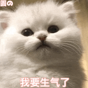 307_307gif 动态图 动图