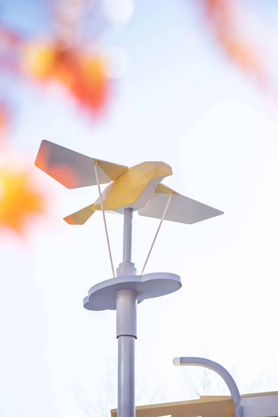 来一起站在雕兄的背上,和大眼金一起感受草原的辽阔么?