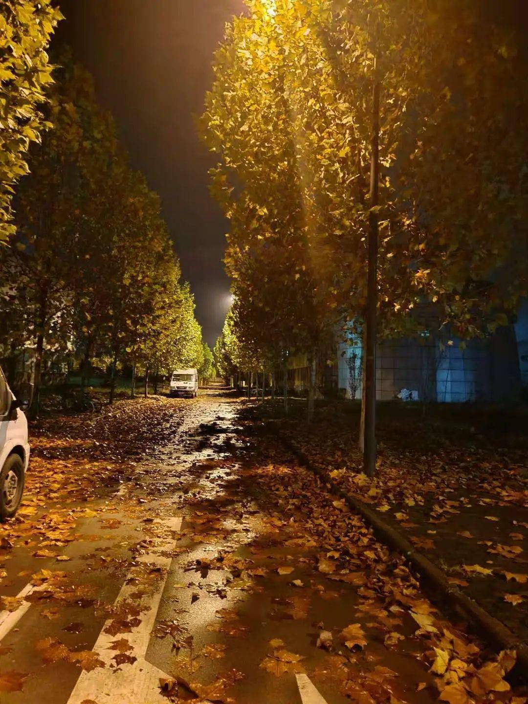 今夜,我又可以了!