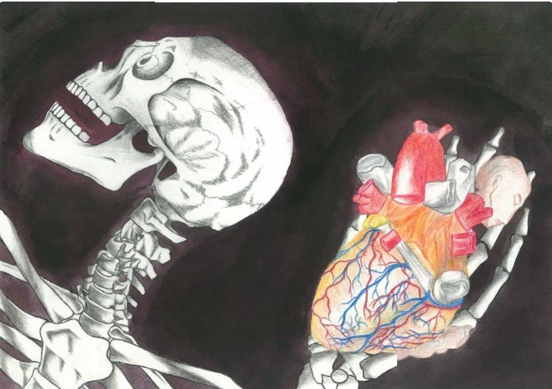 湖中大人体解剖学绘图大赛投票又双叒叕来啦