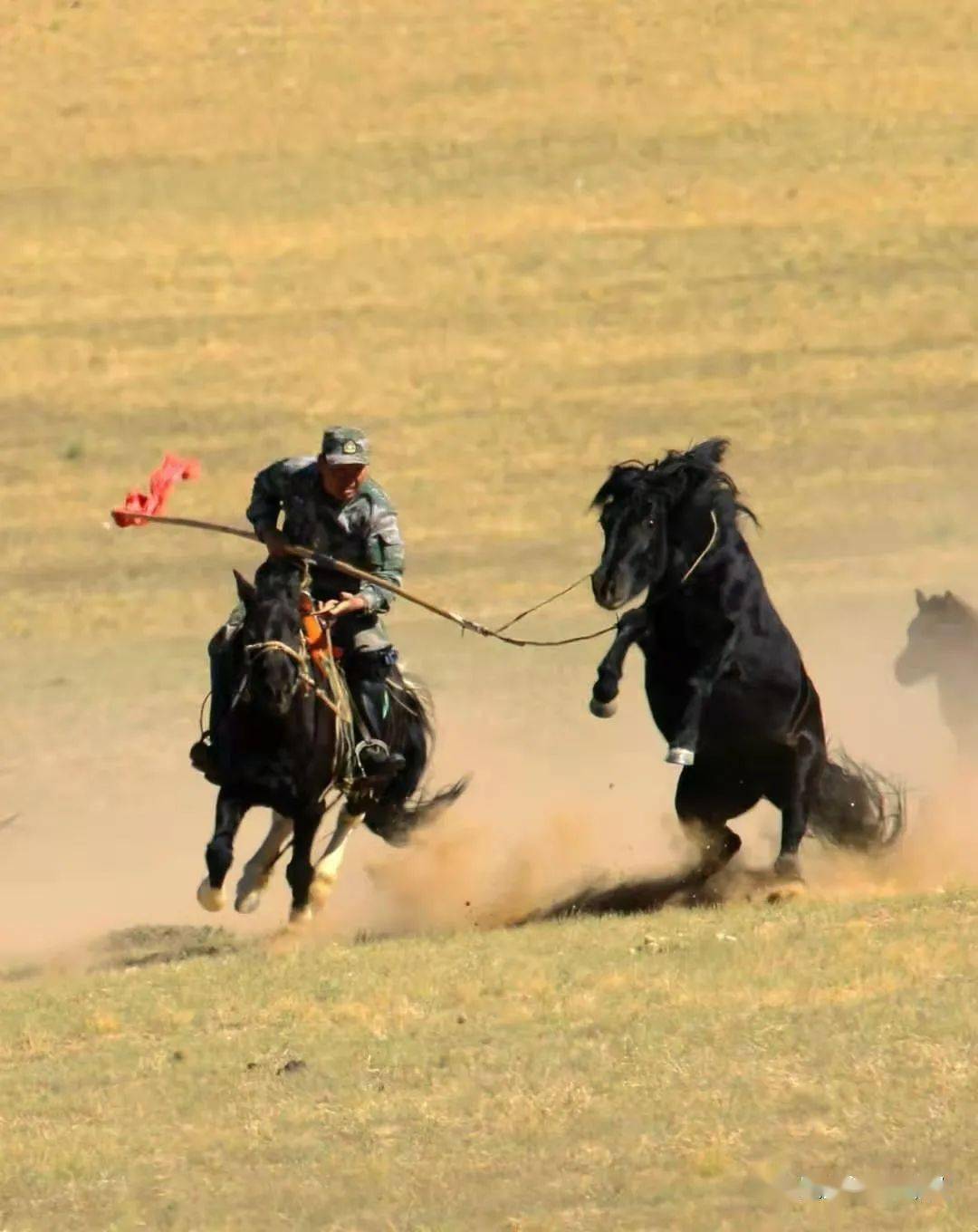 进击的骑兵连冲锋