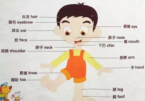 小學英語1-6年級核心單詞大全,孩子期末考高分必備!