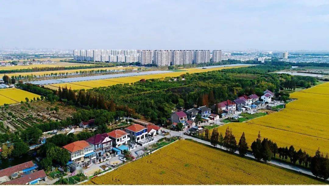 外冈的绰约秋色,都藏着这里……_外冈镇