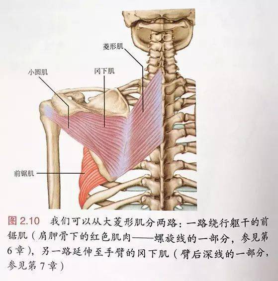 解剖列车知多少