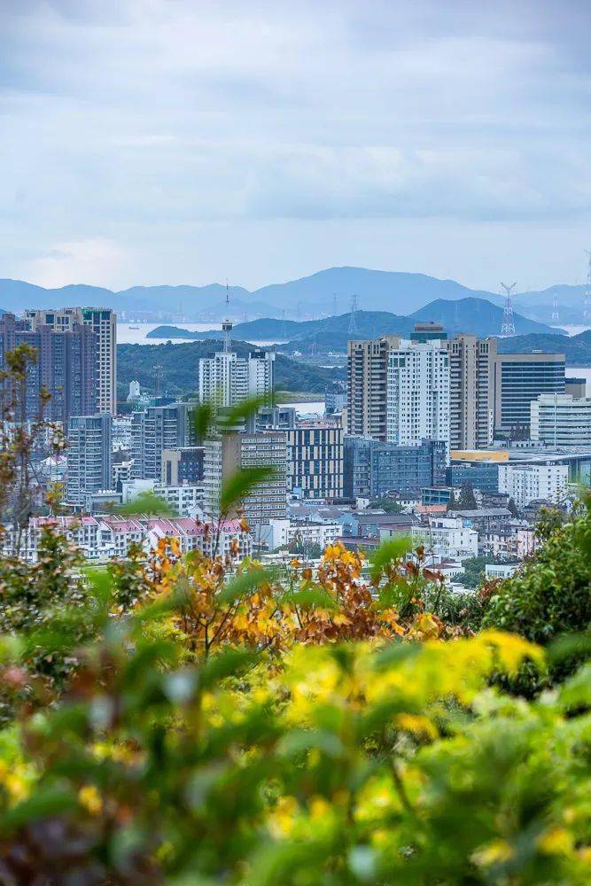 的竹海呼吸第一口清新空氣來到長崗山森林公園伸展身體在清晨淺淺的