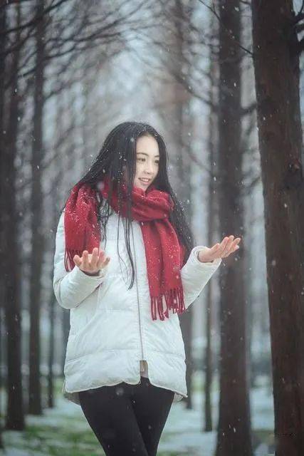 白雪花红围巾散文