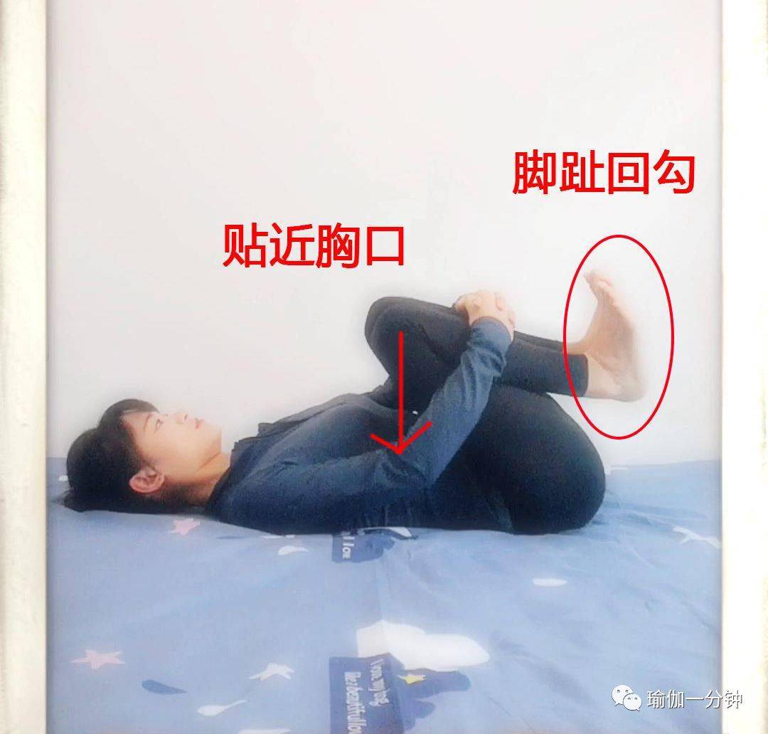 炮弹式■ 延展脊柱时,抬头眼睛自然的看向上方45度角的位置.