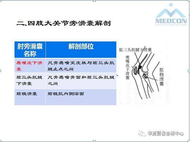 4大关节旁滑囊的精细解剖滑囊病变汇总