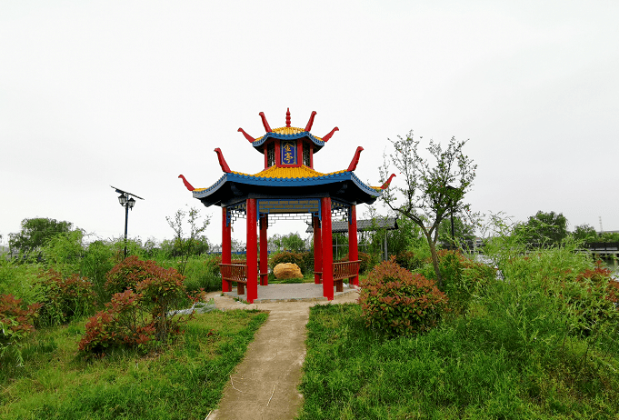 今晚六点半一起来看金庄村的蝶变之路