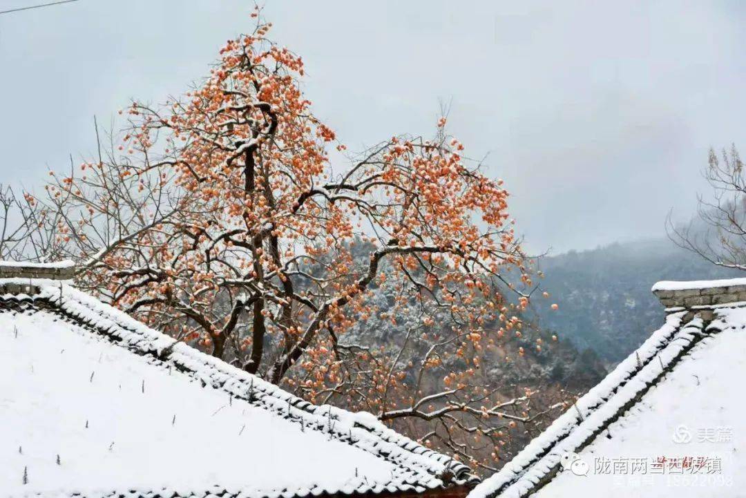 雪落嘉陵江畔吴郁故里