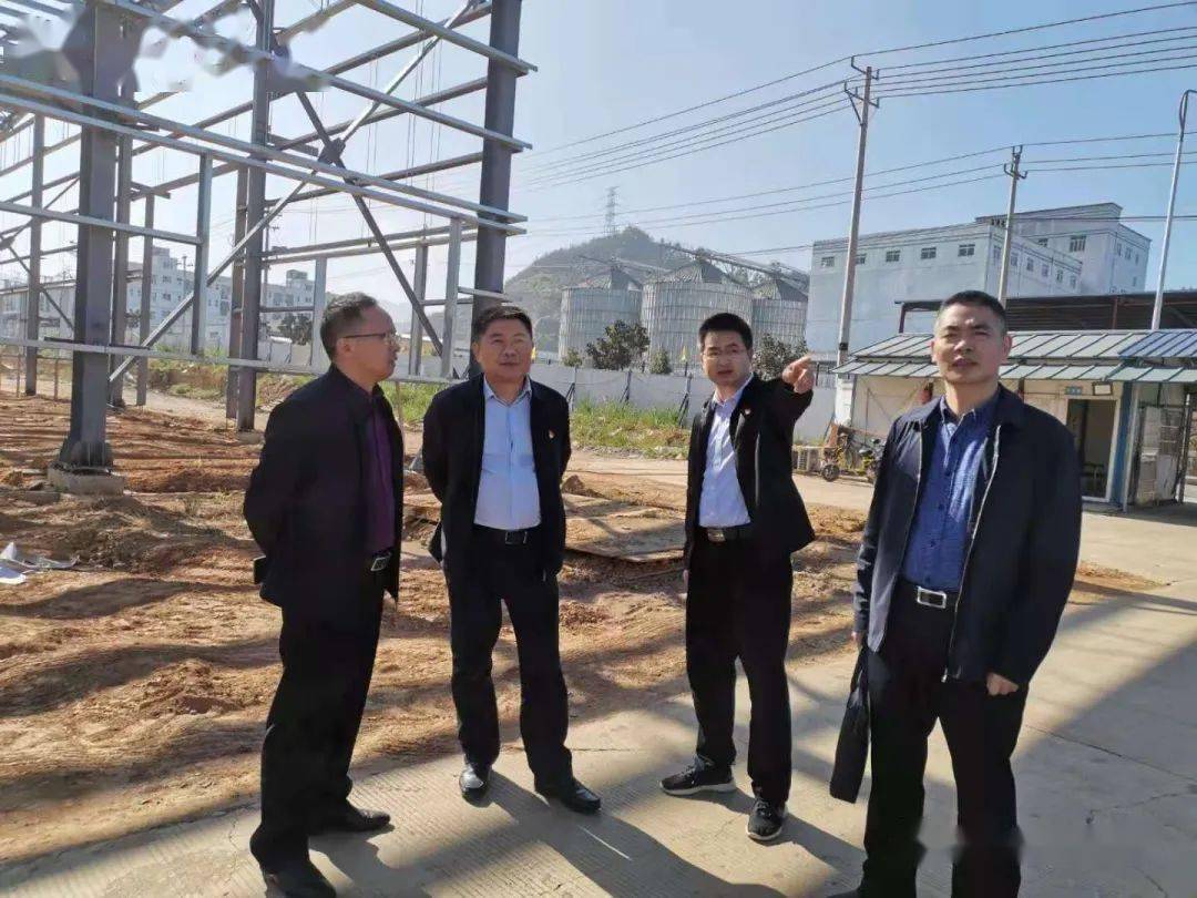 南平市工业和信息化局局长黄拔荣一行深入政和经济开发区走访调研