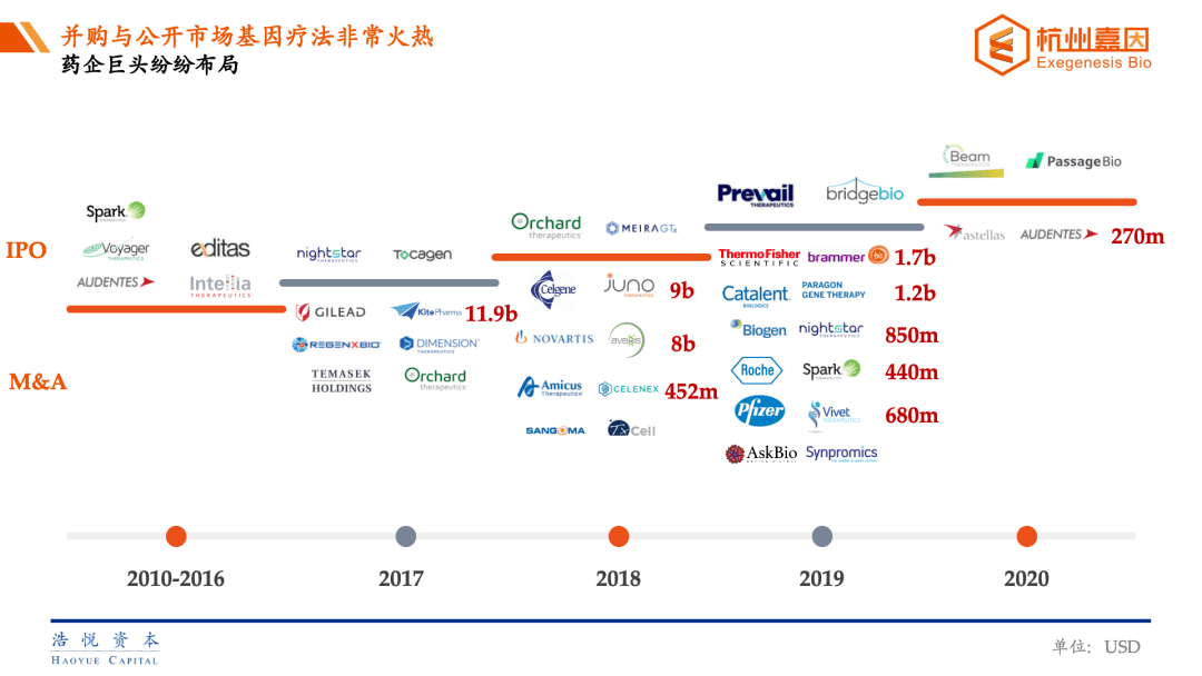 国内基因疗法翘楚exegenesisbio完成数千万美元b轮融资