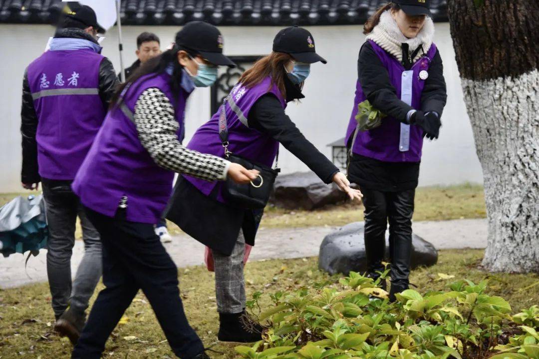 2020年紫金草行动启动紫金草落地莫愁湖祈愿和平
