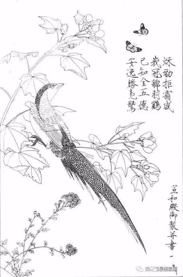 國畫工筆花鳥教程—白描基礎