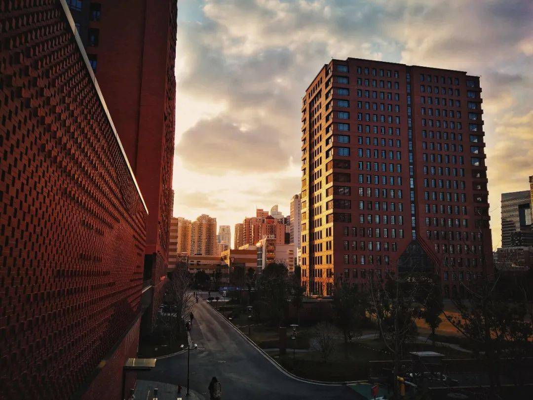 声音地图②复旦大学枫林校区的美让我慢慢讲给你听