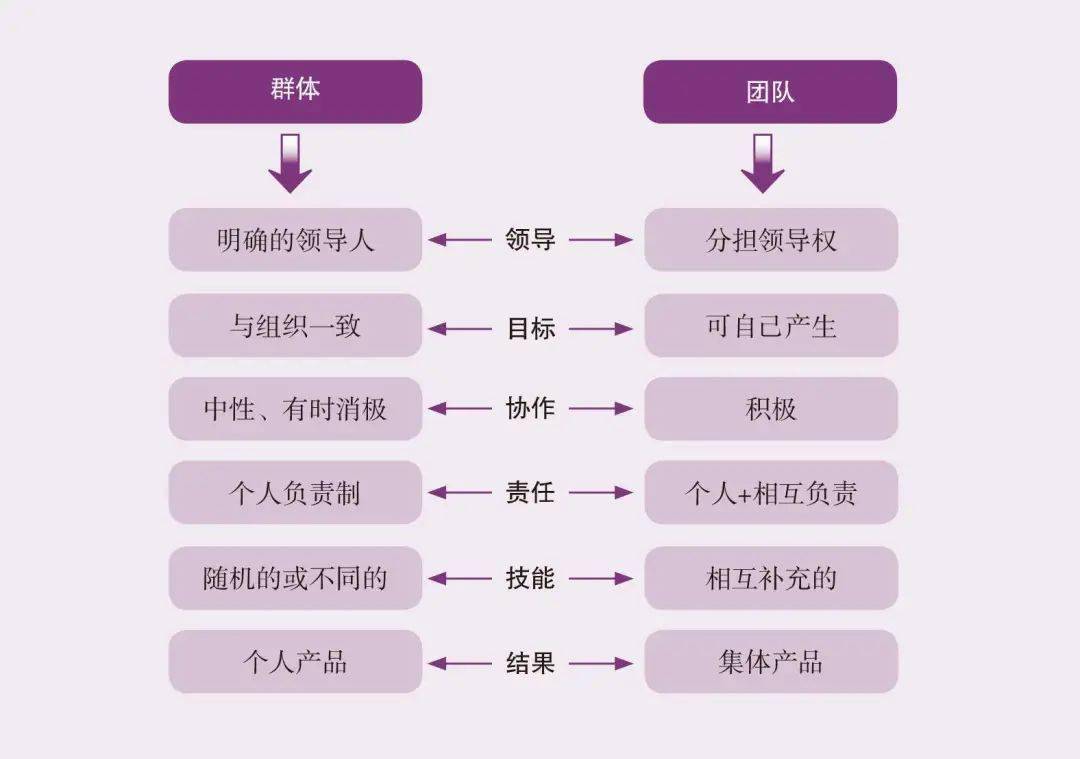 团队和群体的区别如图所示.
