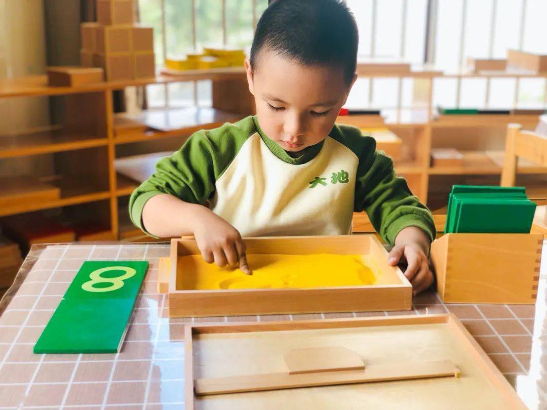 走进casab1蒙氏数学教育带你进入孩子的工作世界