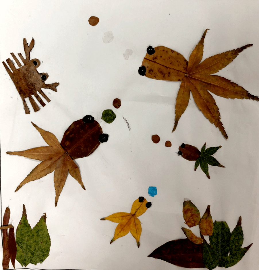 精彩课程生物培养室系列课程之仿生学植物的叶