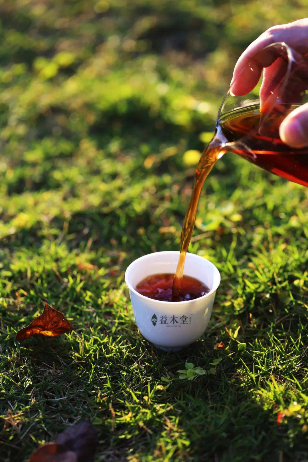 祝君如意太平——益木堂 祥云瑞气熟茶