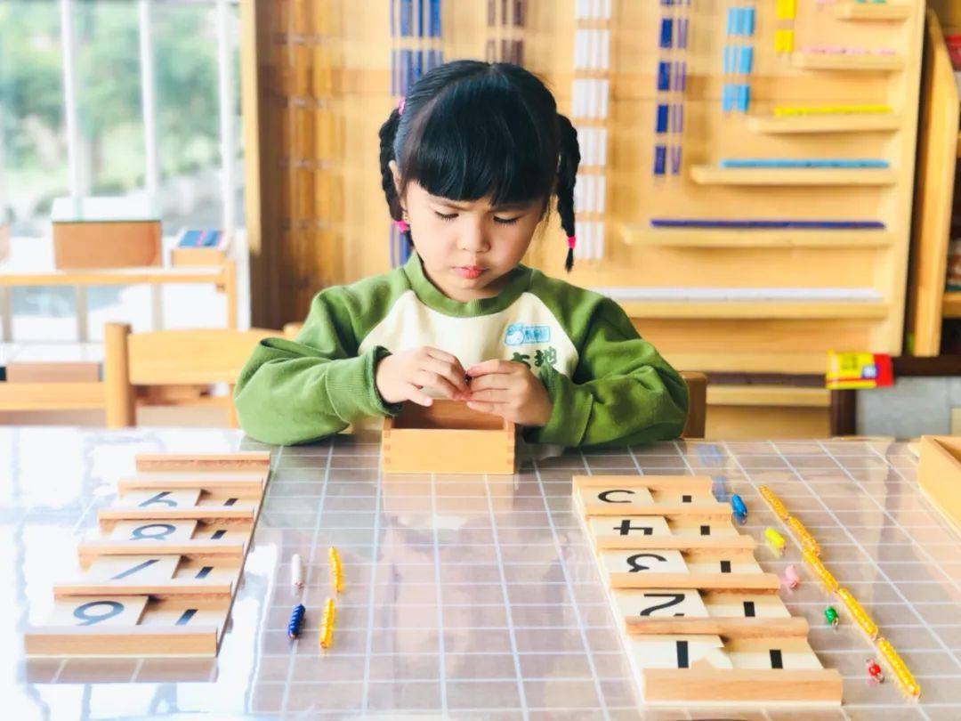 走进casa-b1蒙氏数学教育,带你进入孩子的"工作世界"