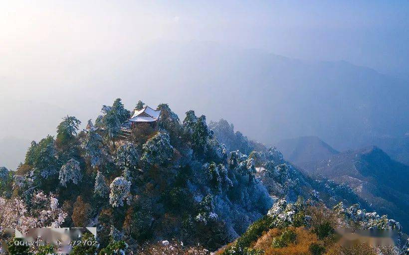 ◣九嶽視界◥踏雪南五臺帶你見證壽比南山不老松