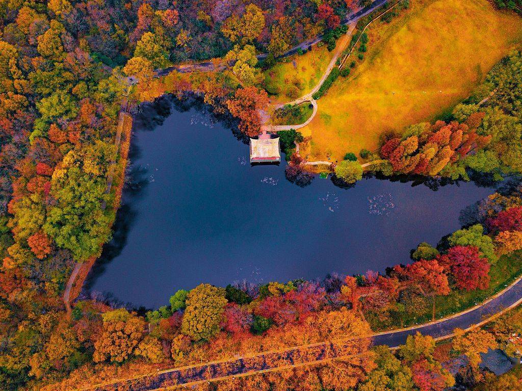 南京:初冬时节 紫金山一片五彩斑斓美不胜收