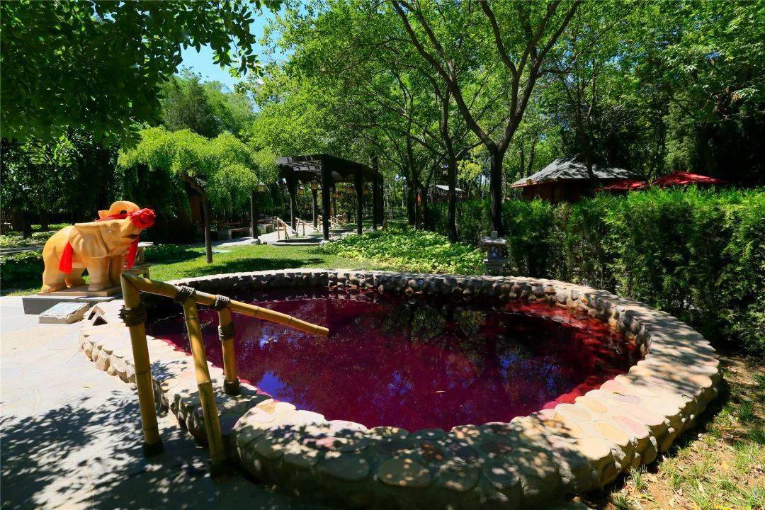 抢购价仅88元南宫民族温泉养生园成人门票平日周末通用