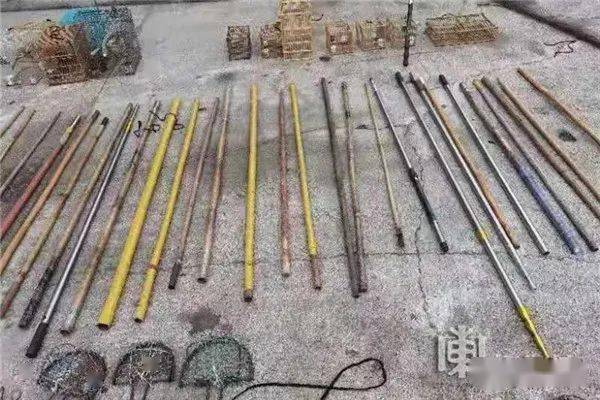 别拿麻雀不当保护动物!农场一男子布网猎杀200余只野生鸟被垦区公安抓