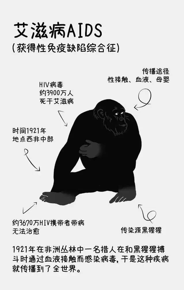 艾滋病毒在进入人体后,会最先攻下免疫系统中最重要的淋巴细胞,使人体