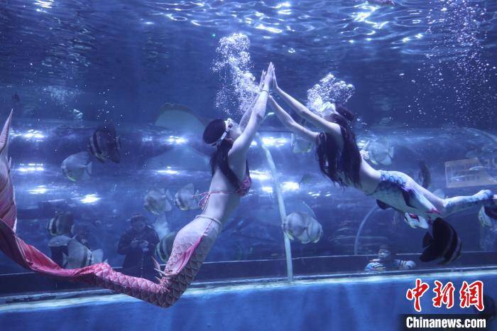 四川万源海洋世界表演者化身美人鱼上演人鱼共舞