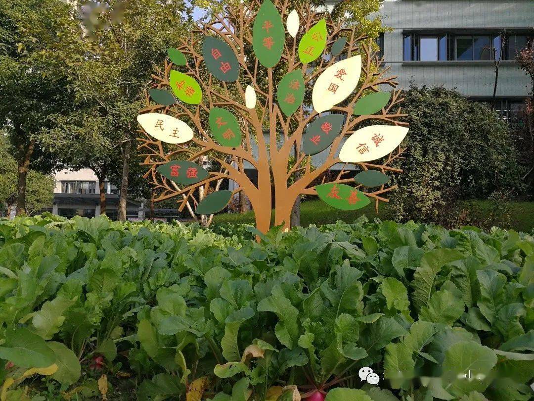 爱心义卖丨超乎想象的校园萝卜展销会