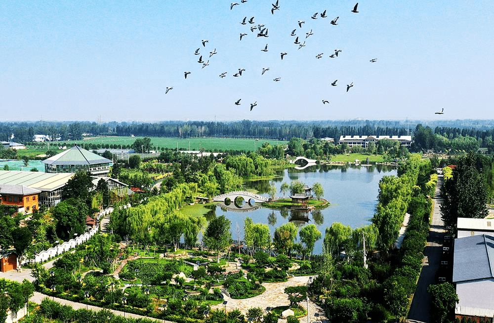 顺义区顺康源园艺驿站开展东方撒艺中国传统插花活动