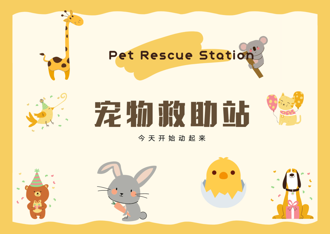 新有生命温暖寒冬关爱流浪宠物我们在行动