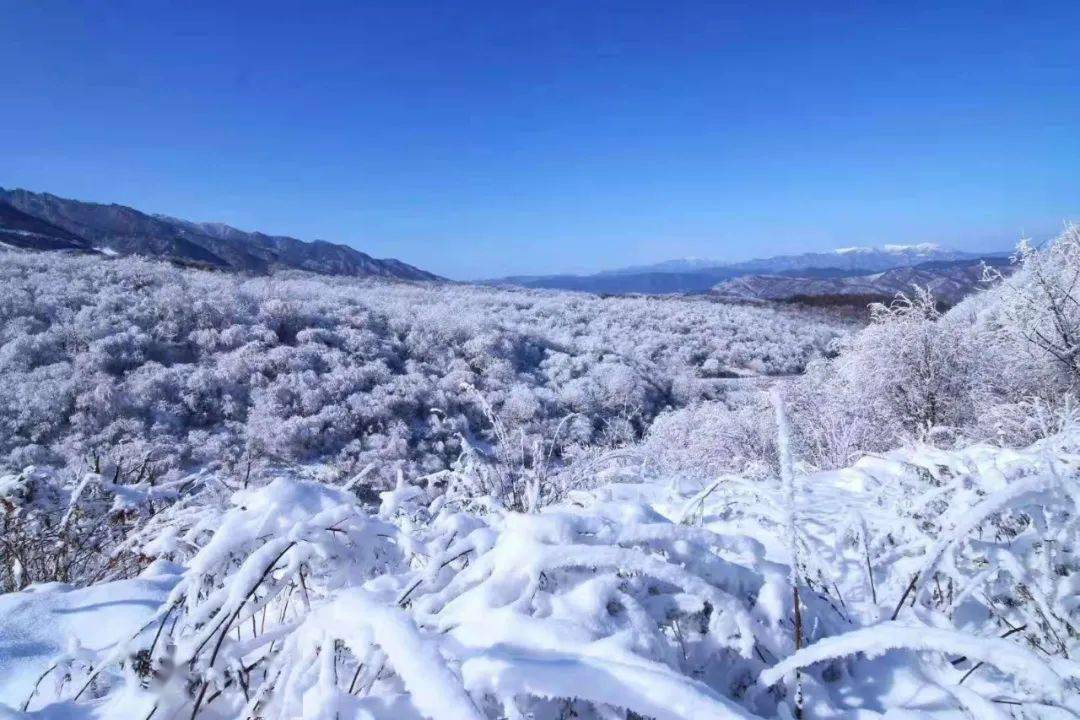 冬季的宝鸡秦岭,绝美!