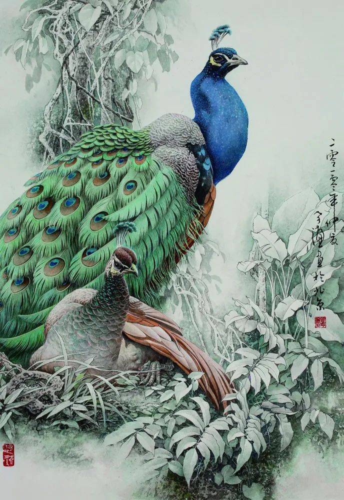 这幅绿孔雀是曾孝濂先生于2010年在动物园写生时创作的作品,在本次