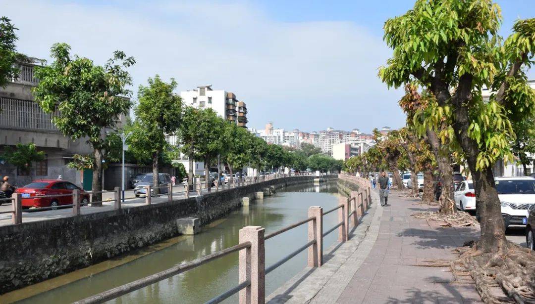 昔日避之不及如今新会这条河美出了新高度