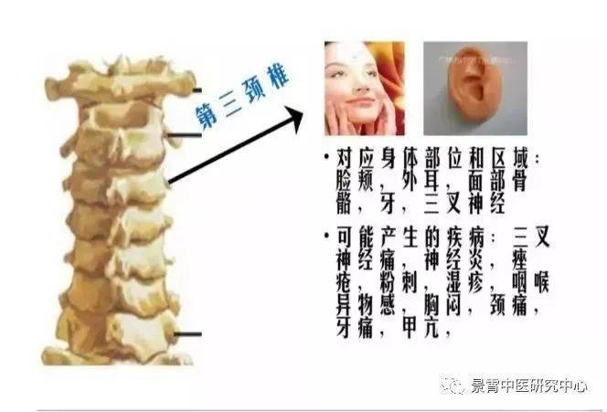 颈椎病的分型与正骨调理