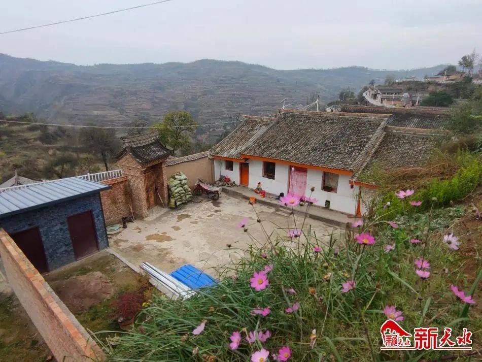 脱贫攻坚小山村焕发新活力麦积区渭南镇左尧村脱贫攻坚工作纪实