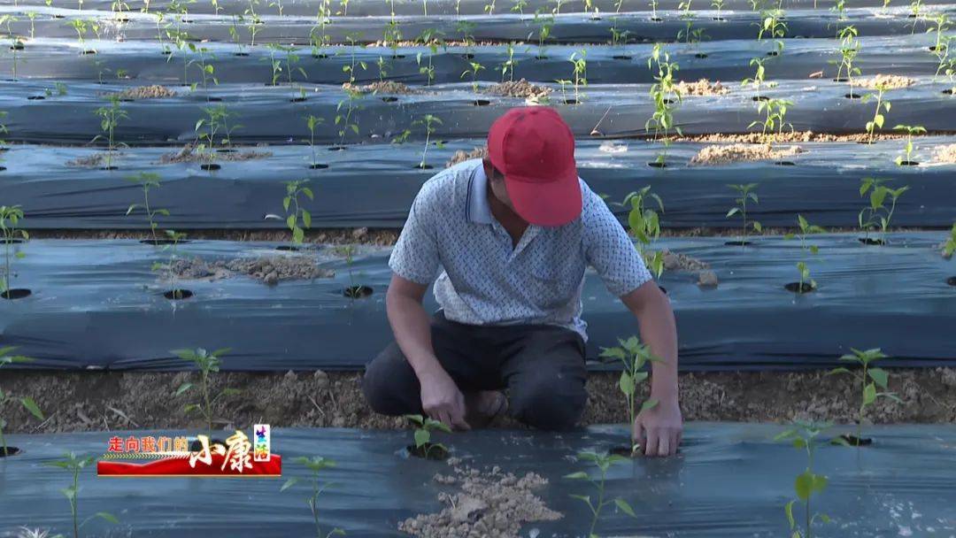 胡国雄不等不靠谋发展勤劳巧干奔小康