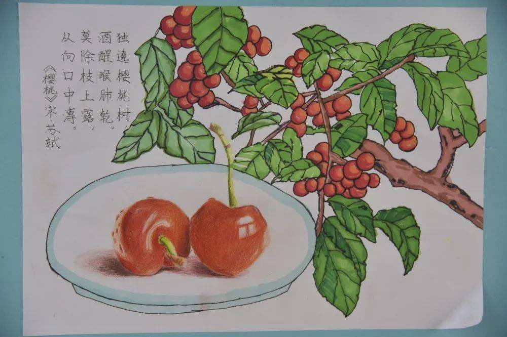 在"诗情画意"古诗配画活动中,孩子们诵经典,抒诗情,绘诗意.